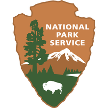 NPS